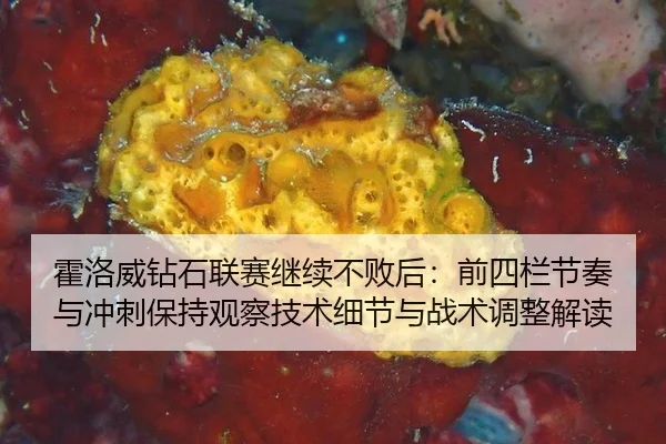 huo-luo-wei-zuan-shi-lian-sai-ji-xu-bu-bai-hou-qian-si-lan-jie-zou-yu-chong-ci-bao-chi-guan-cha-ji-shu-xi-jie-yu-zhan-2-841.jpg